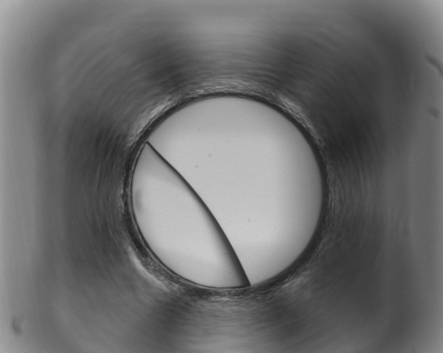 X0000102530538200808081054