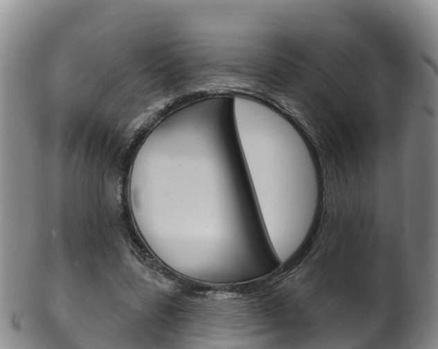 X0000102530539200808081055