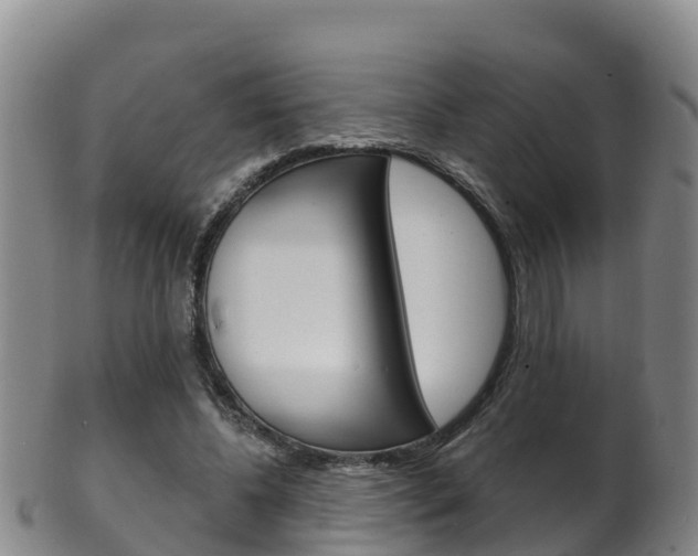 X0000102530540200808081055