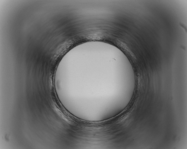 X0000102530541200808081055