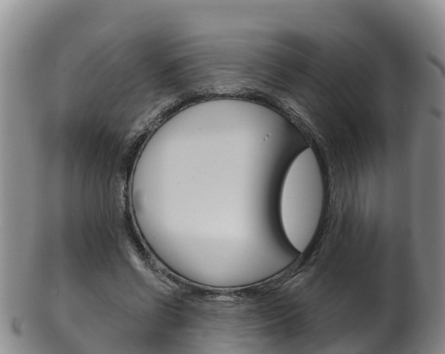 X0000102530542200808081055