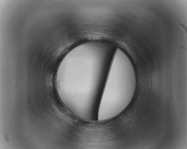 X0000102530543200808081055