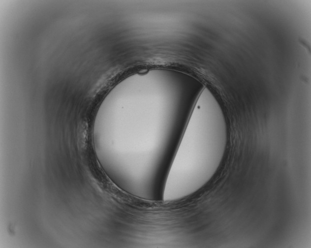X0000102530544200808081055
