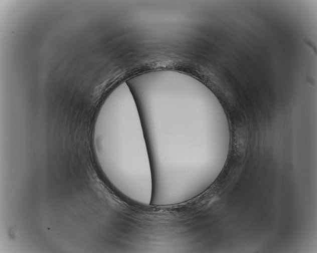 X0000102530545200808081055