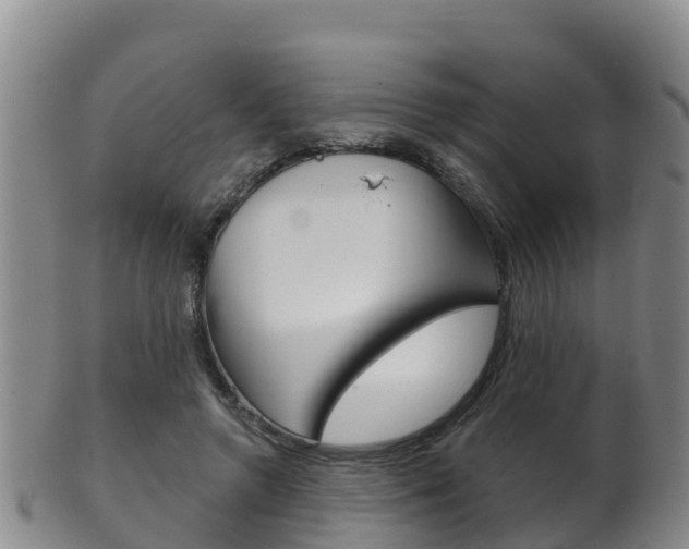 X0000102530546200808081055