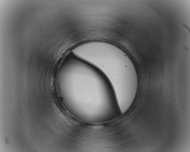 X0000102530548200808081055
