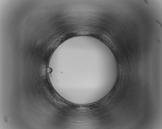 X0000102530549200808081055