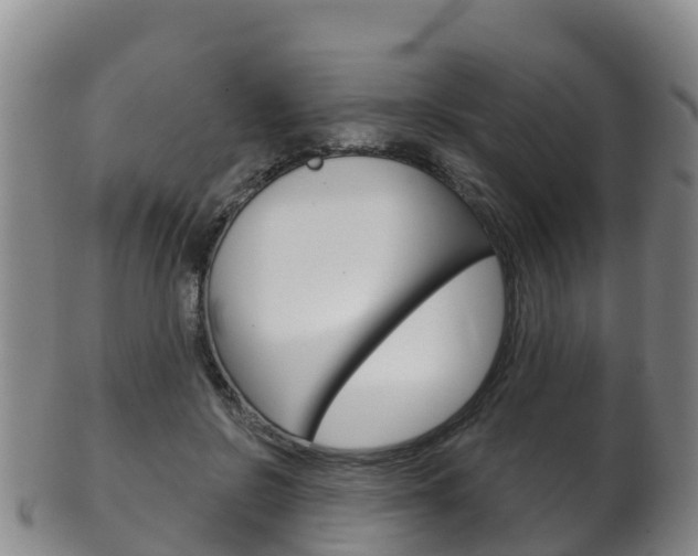 X0000102530550200808081055