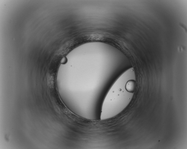 X0000102530551200808081055