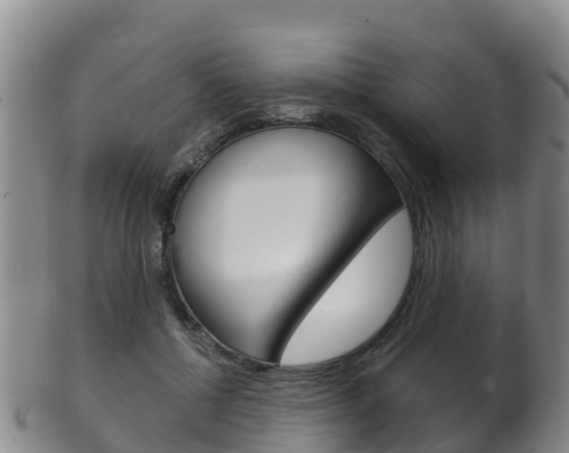 X0000102530552200808081055