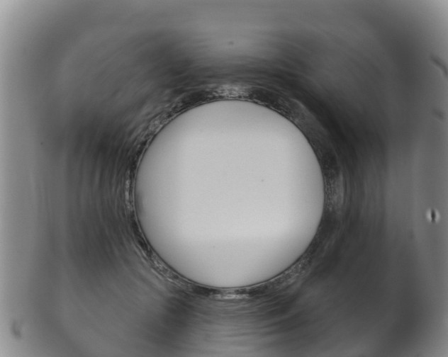 X0000102530553200808081055
