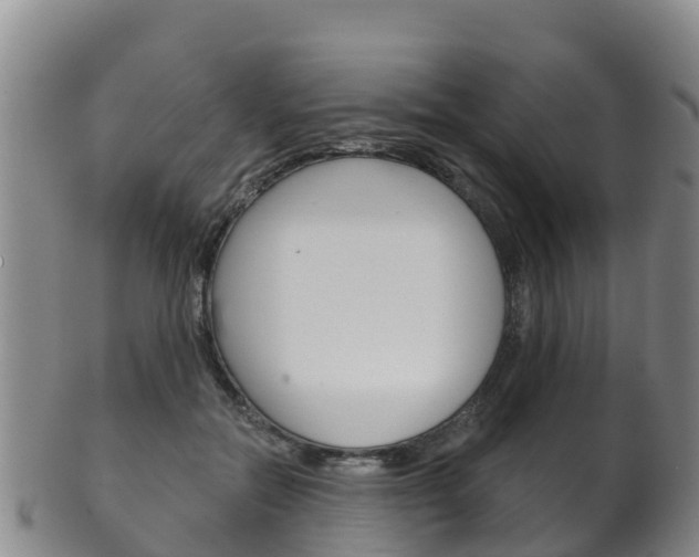 X0000102530554200808081055