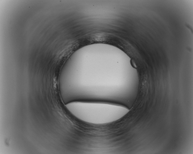 X0000102530555200808081055