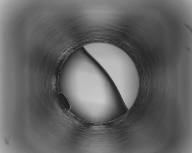 X0000102530556200808081055