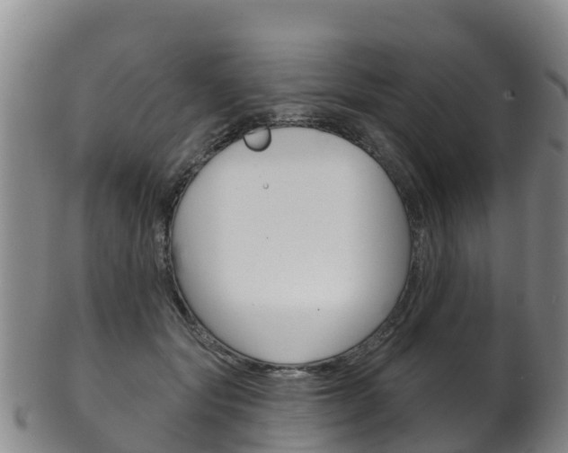 X0000102530557200808081055