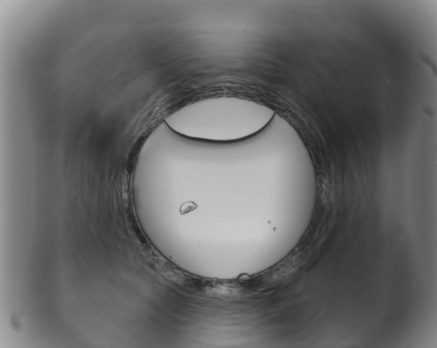 X0000102530561200808081055