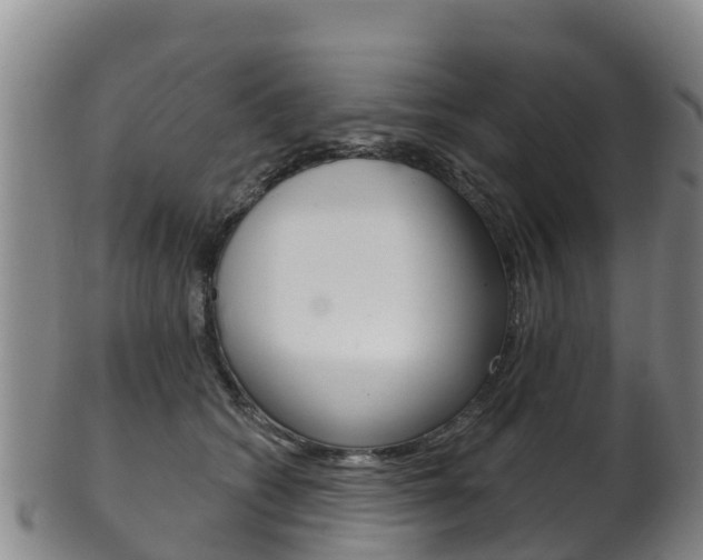 X0000102530562200808081055