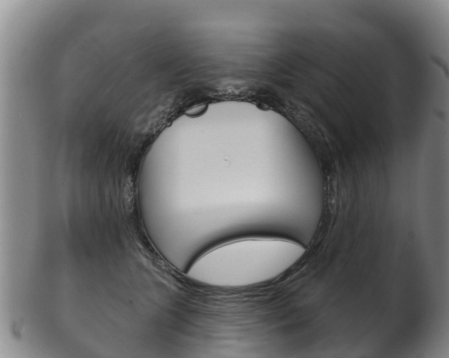 X0000102530563200808081055