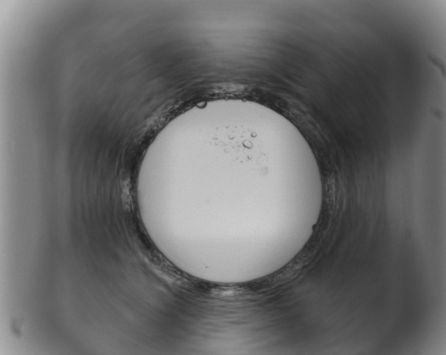 X0000102530564200808081055