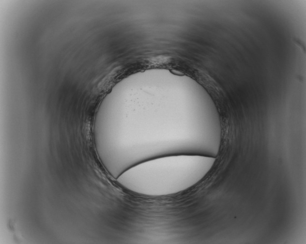 X0000102530565200808081055