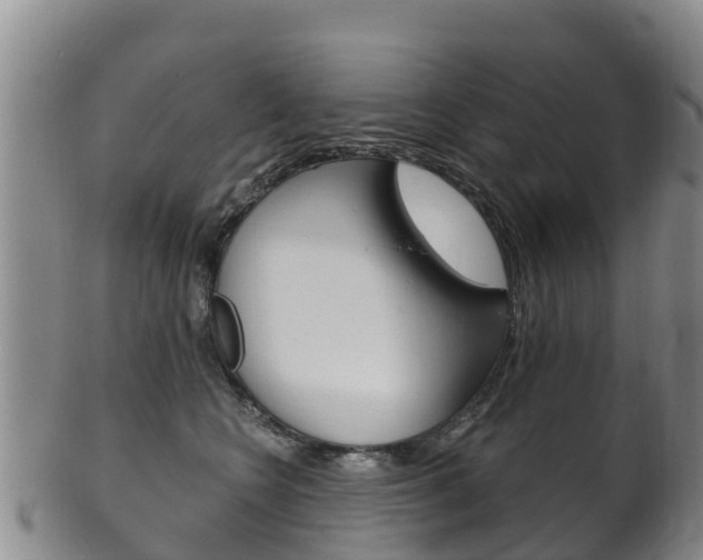 X0000102530566200808081055