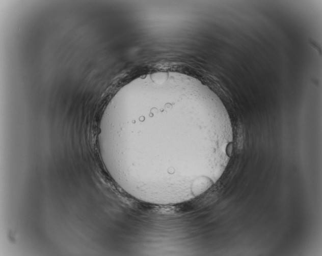 X0000102530569200808081055