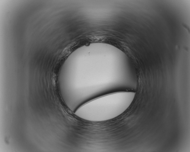 X0000102530570200808081055