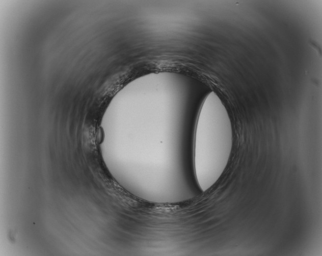 X0000102530571200808081055