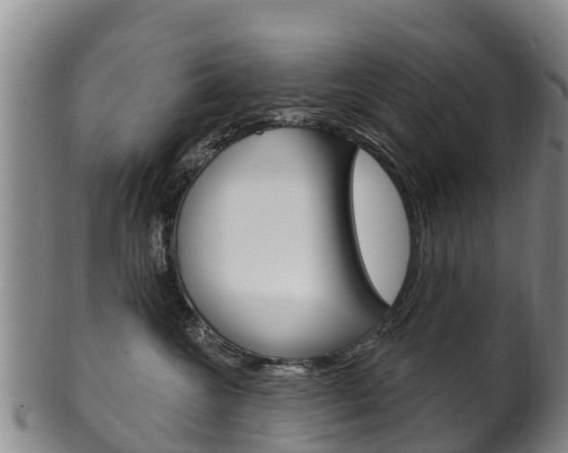 X0000102530572200808081055