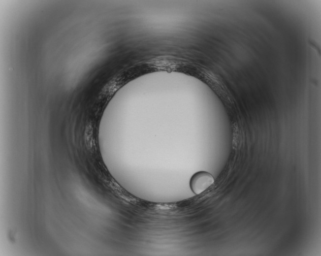 X0000102530573200808081055