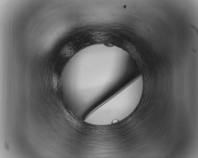 X0000102530574200808081055
