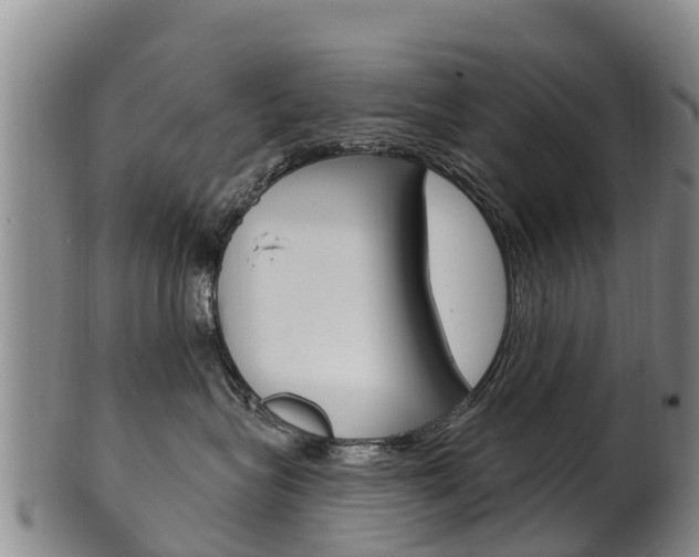 X0000102530575200808081055