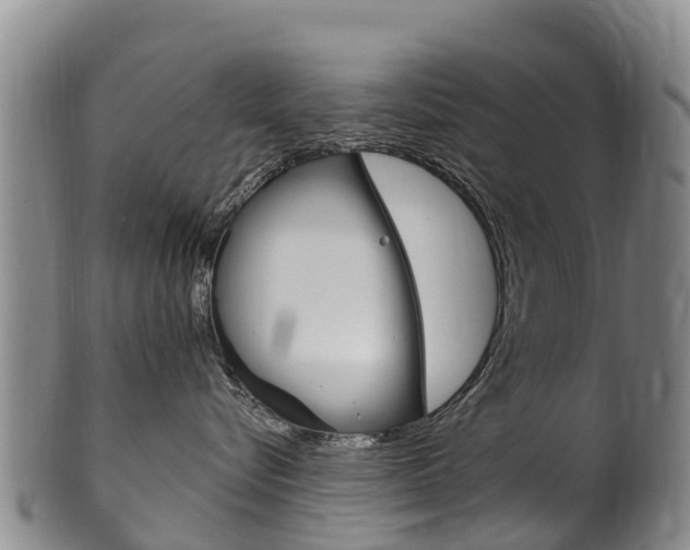 X0000102530576200808081055