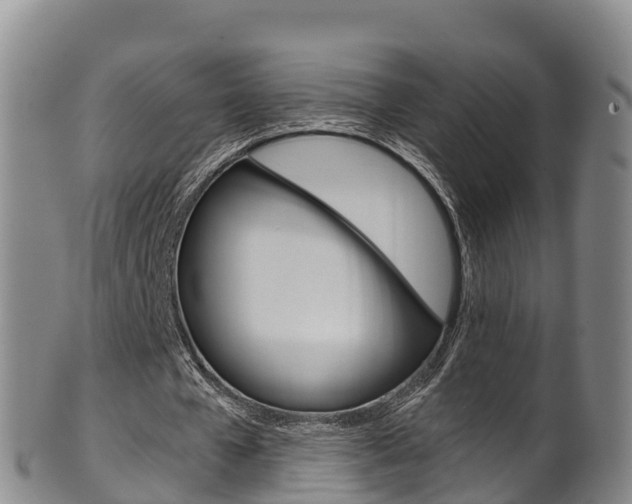 X0000102530577200808081054