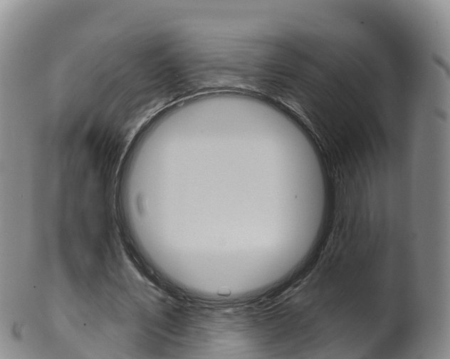 X0000102530579200808081054
