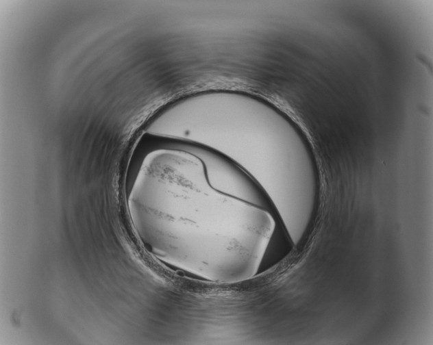 X0000102530581200808081054