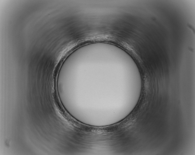 X0000102530582200808081054
