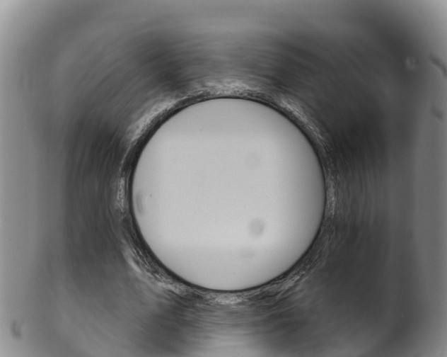 X0000102530583200808081054
