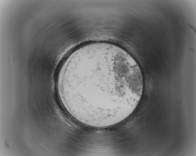 X0000102530584200808081054