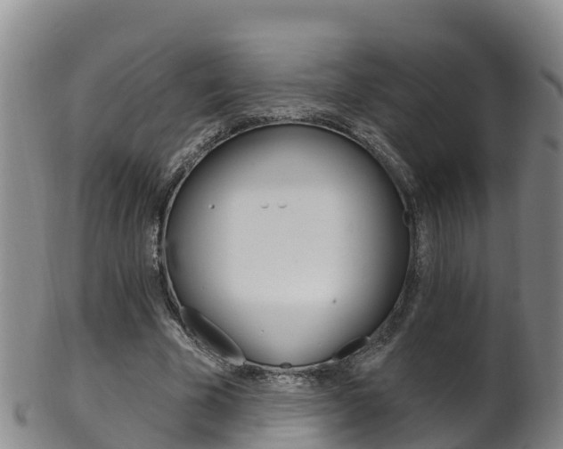 X0000102530585200808081054