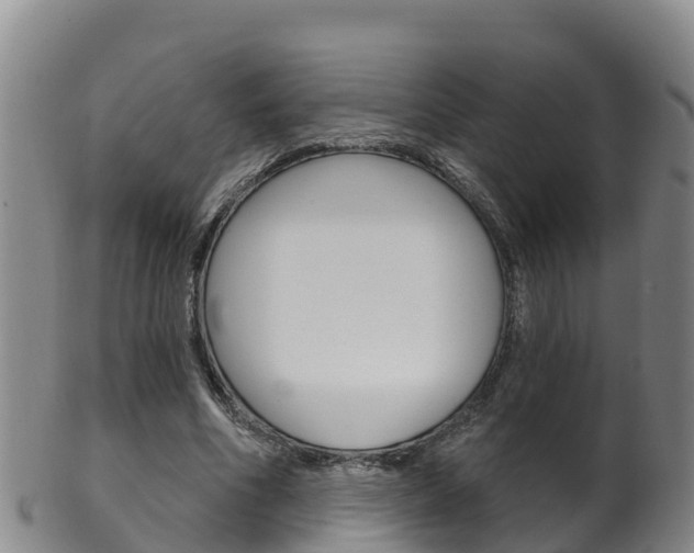 X0000102530586200808081054