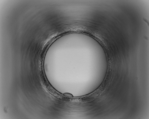 X0000102530587200808081054