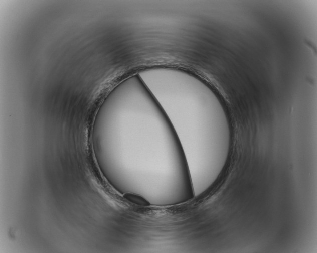 X0000102530589200808081054