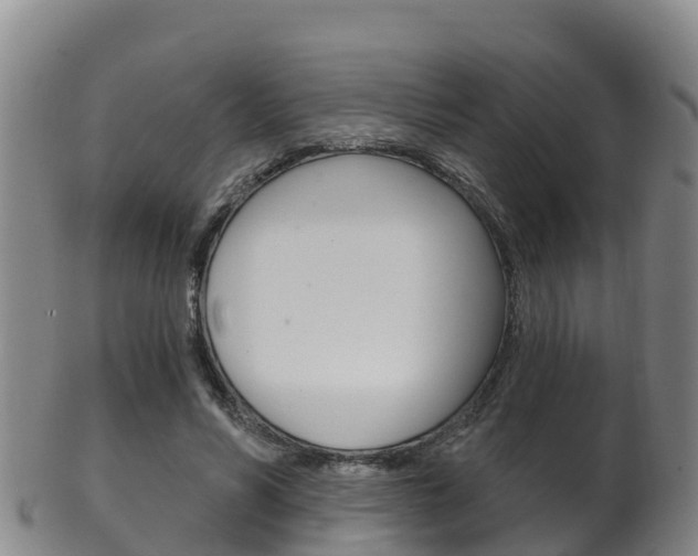 X0000102530590200808081054