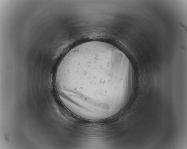 X0000102530592200808081054