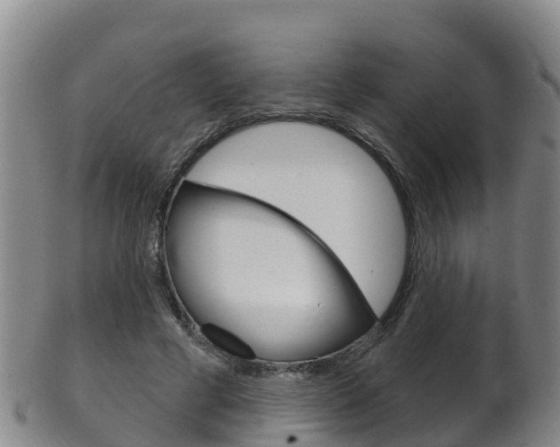 X0000102530593200808081054
