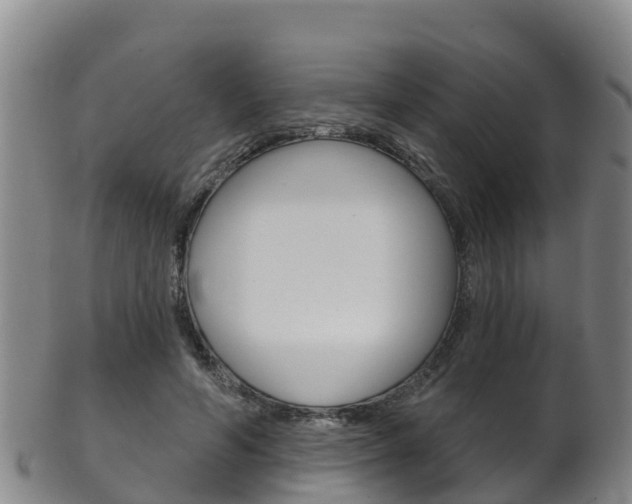 X0000102530594200808081054