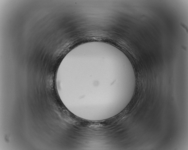 X0000102530595200808081054