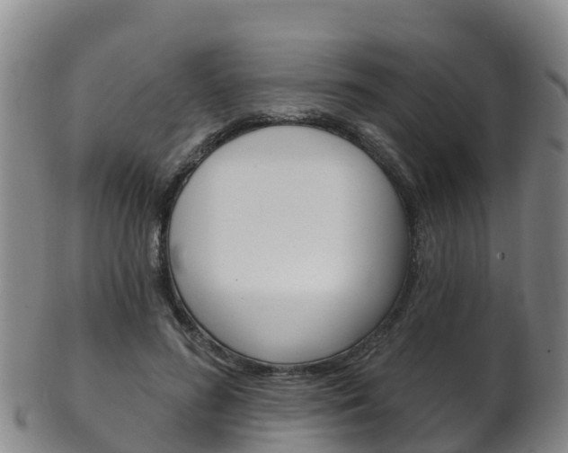 X0000102530596200808081054