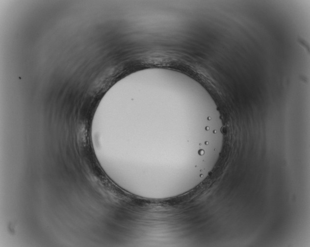 X0000102530597200808081054
